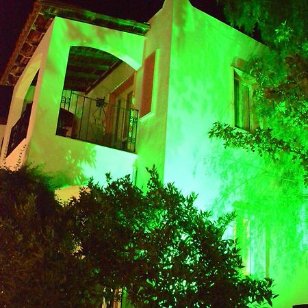Villa Nergis ビテツ エクステリア 写真