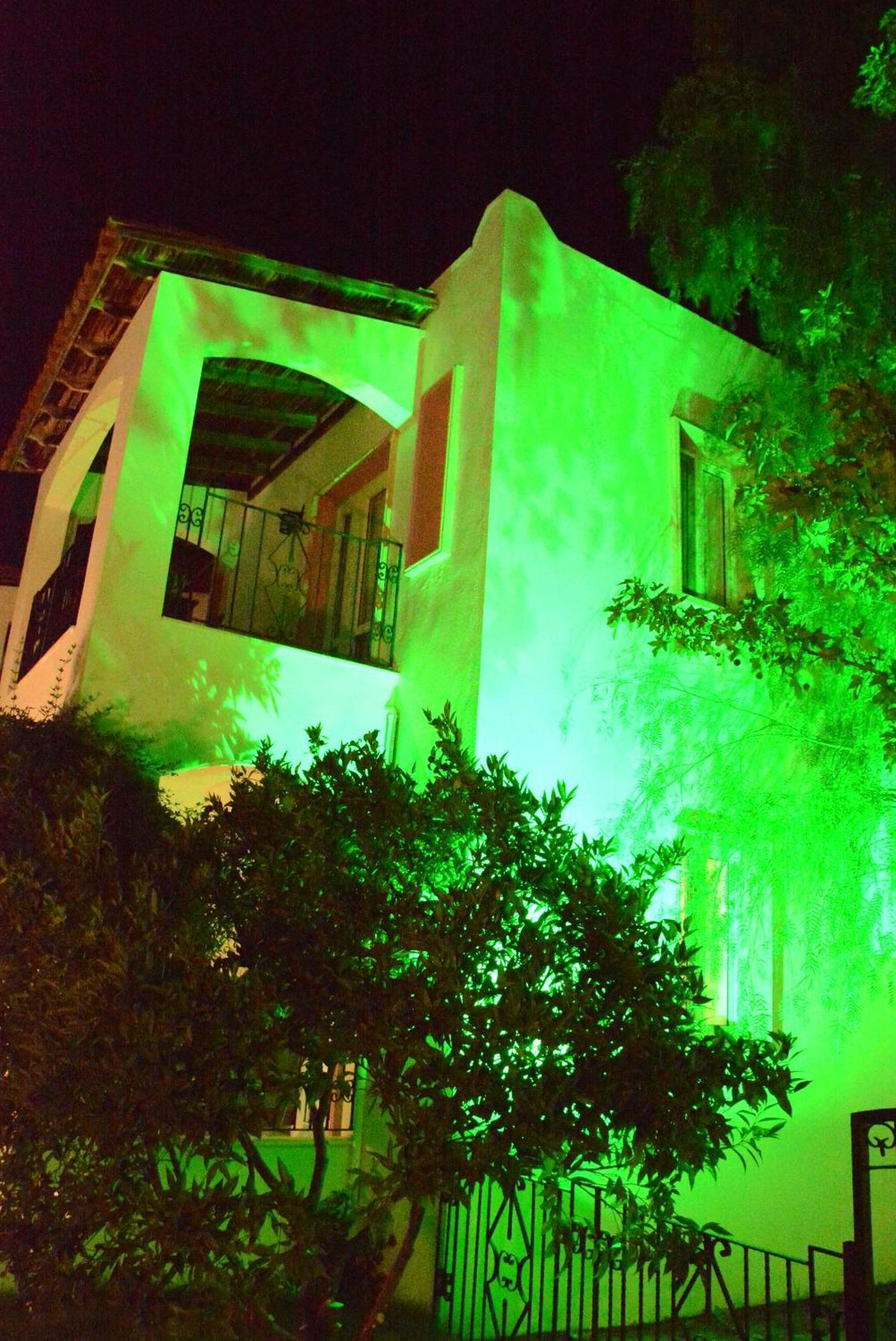 Villa Nergis ビテツ エクステリア 写真